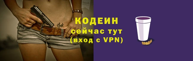 эйфоретик Гусь-Хрустальный