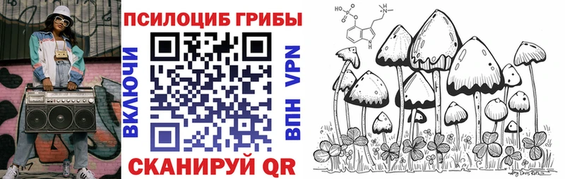 Псилоцибиновые грибы Psilocybine cubensis  Городище 
